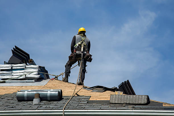 Professional Metal Roofing technician working in La Motte, IA